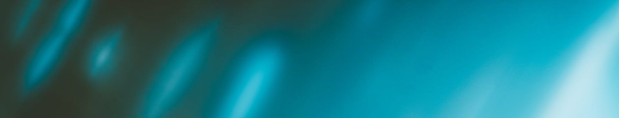 Objectif    Croq Chef